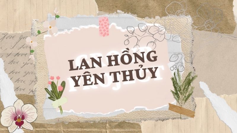 Lan Hồng Yên Thủy giá bao nhiêu? Nguồn gốc và Đặc điểm