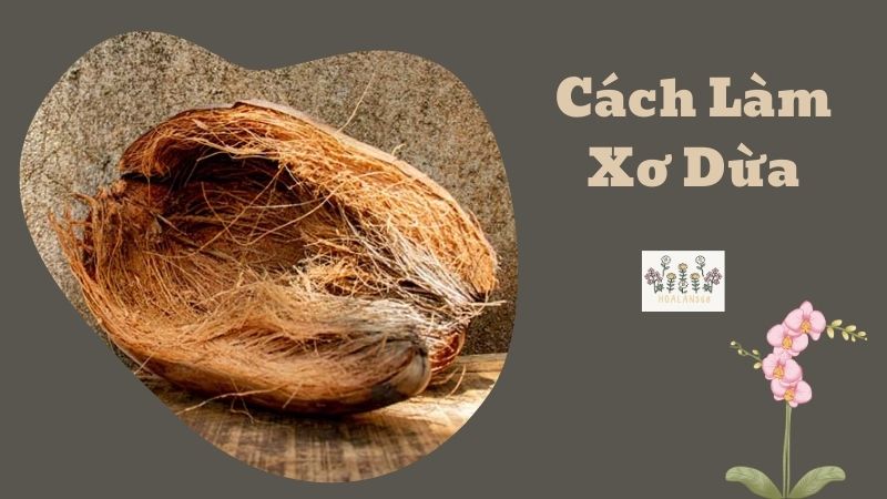 Cách Làm Xơ Dừa