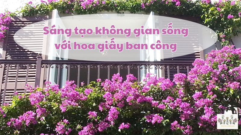 Sáng tạo không gian sống với hoa giấy ban công của bạn